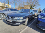 IMG20250308103953