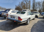 IMG20250308113635