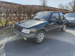 IMG20250308114624