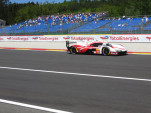 IMG 6895