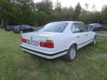 IMG 7317