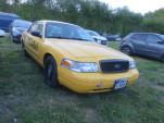 IMG 7304