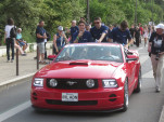 IMG 7818