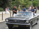 IMG 7806