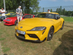 IMG 7544
