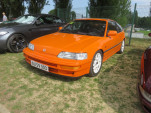 IMG 7541