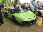 IMG 7755