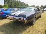 IMG 7599