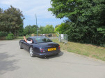 IMG 7525