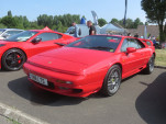 IMG 7636