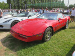 IMG 7573