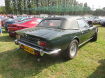 IMG 7566