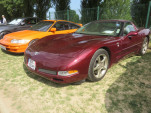IMG 7542