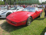 IMG 7572