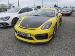 IMG 7955