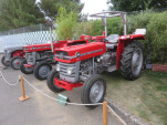 IMG 9970
