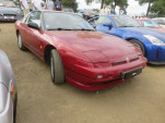 IMG 9870