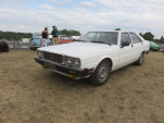 IMG 9835