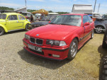 IMG 9495