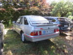 IMG 8754