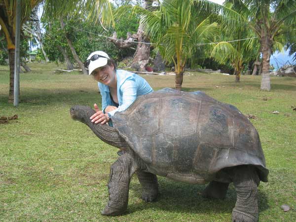 Tortue des Seychelles